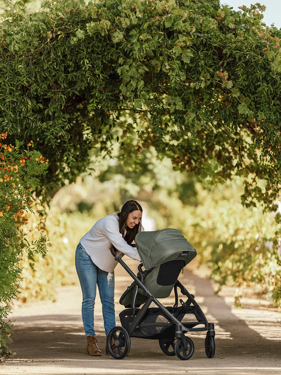 картинка Коляска 2в1 UPPAbaby VISTA V3 EVELYN болотный