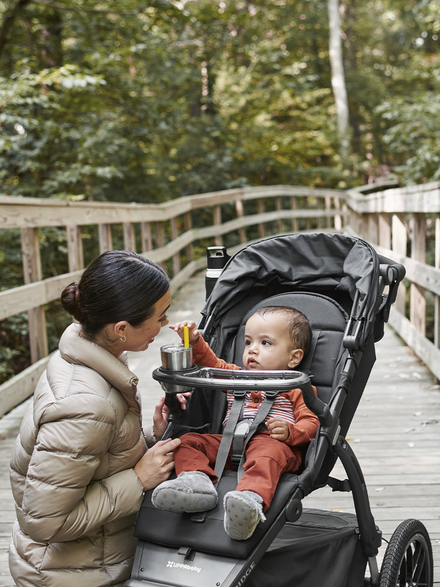 картинка Бампер столик для коляски UPPAbaby Ridge