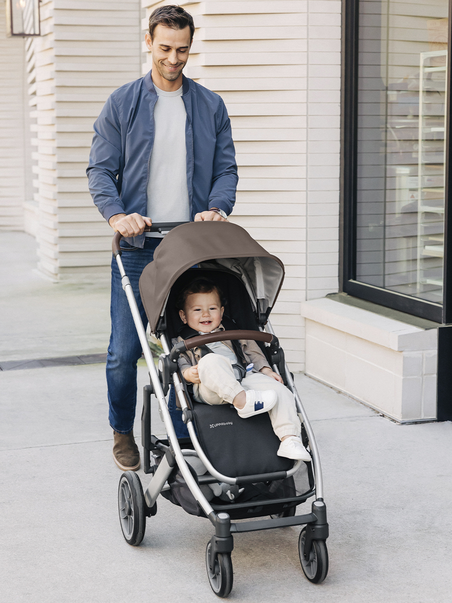 картинка Коляска прогулочная UPPAbaby Cruz V2 THEO молочный шоколад