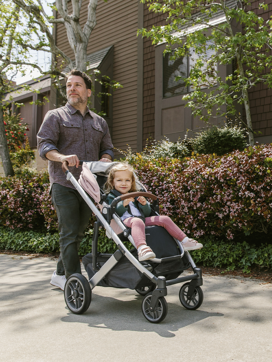 картинка Коляска прогулочная UPPAbaby Cruz V2 ALICE пыльный розовый