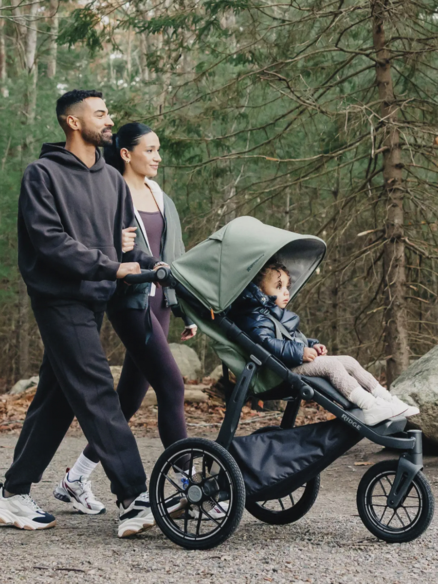 картинка Коляска прогулочная UPPABABY Ridge V2 (Цвет - Evelyn)