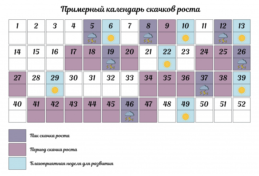 календарь скачков роста.jpg