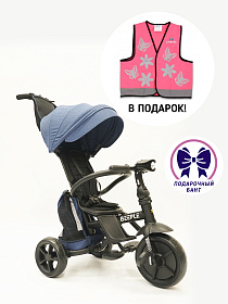 Велосипед трехколесный Beeple - Mini Trike Blue  